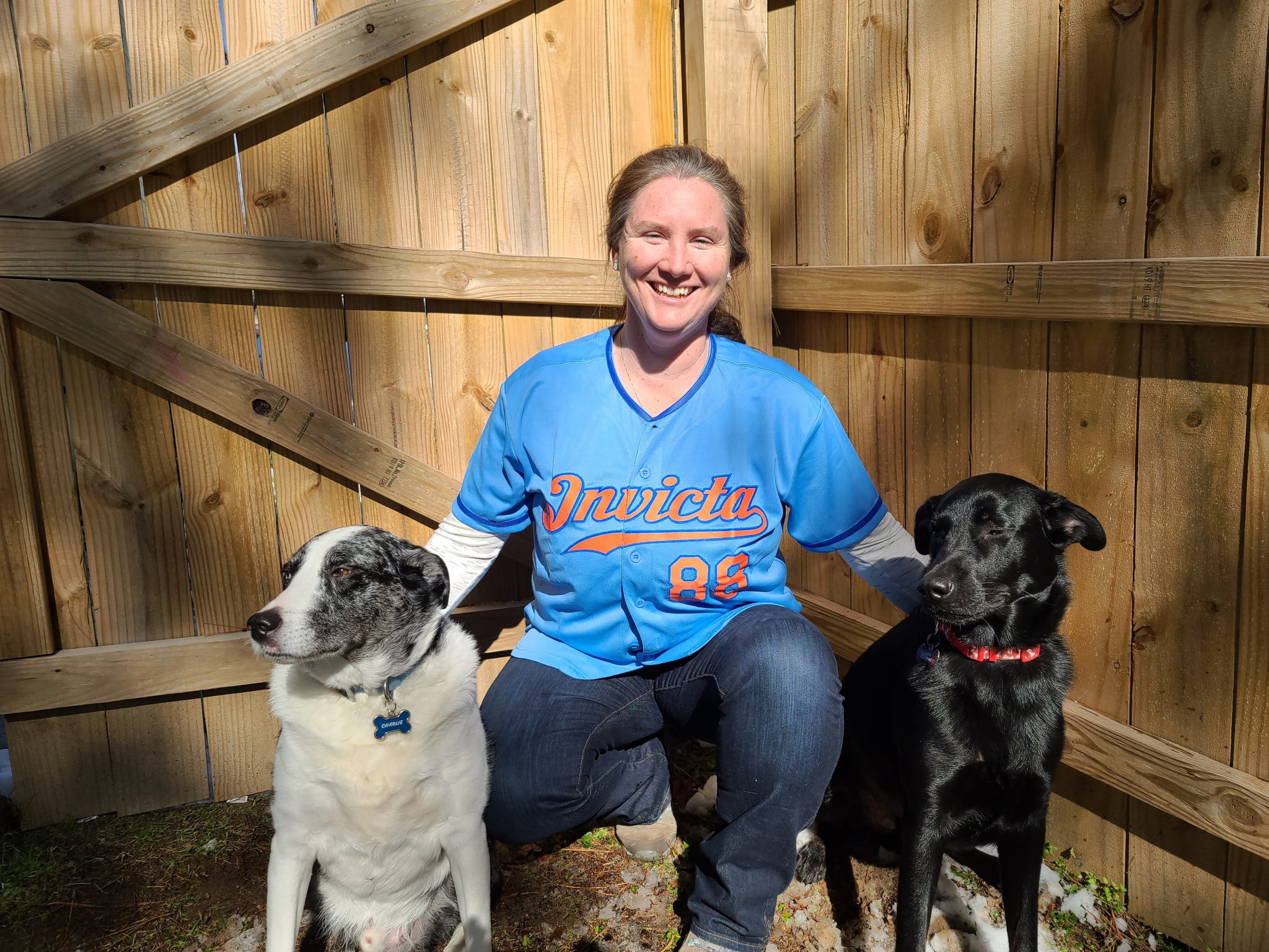 Pest Control Raleigh NC Raleigh Pest Control Invicta Environmental