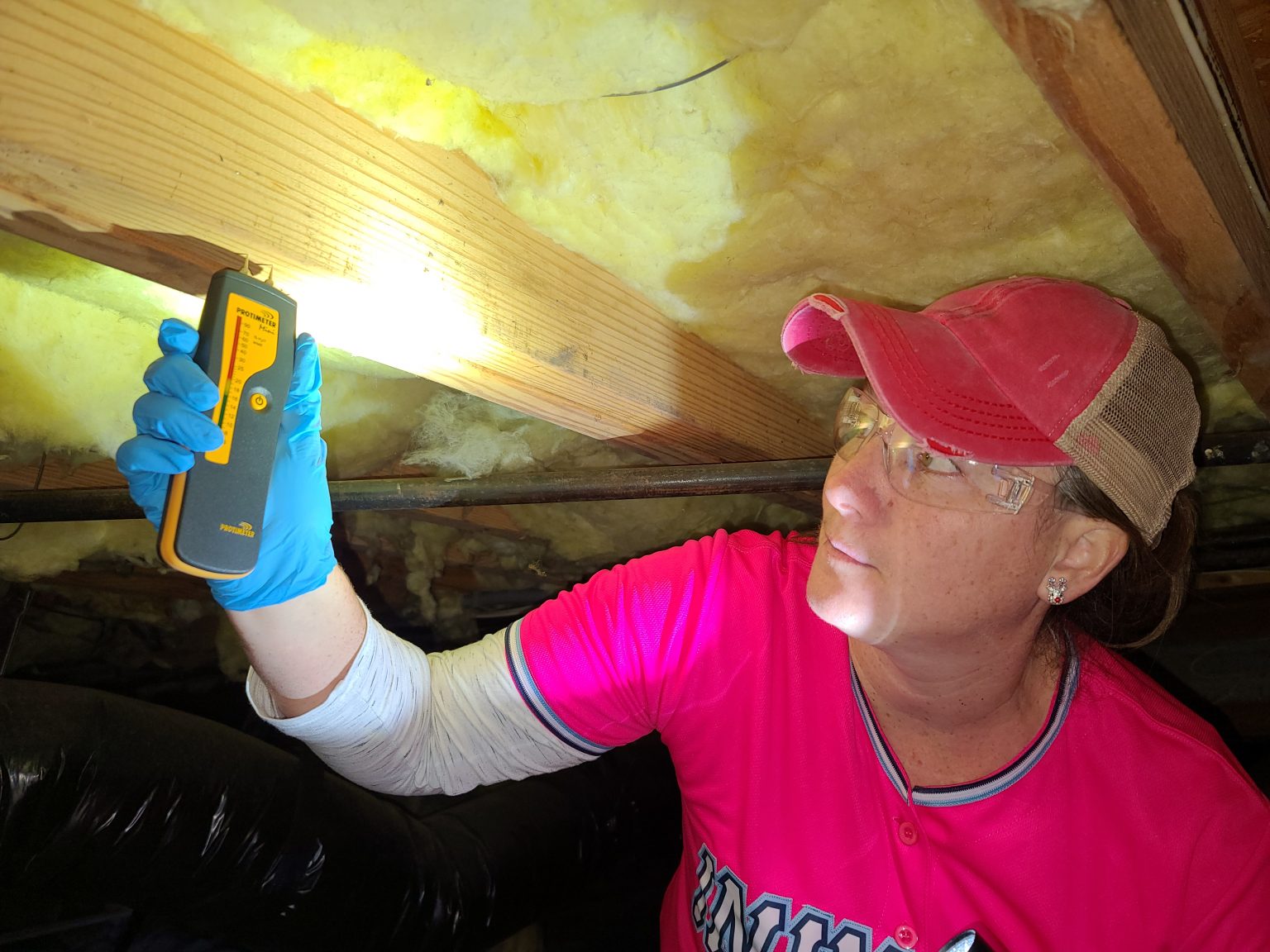 Pest Control Raleigh NC Raleigh Pest Control Invicta Environmental