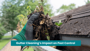 Gutter Cleaning’s Impact on Pest Control in Raleigh, NC