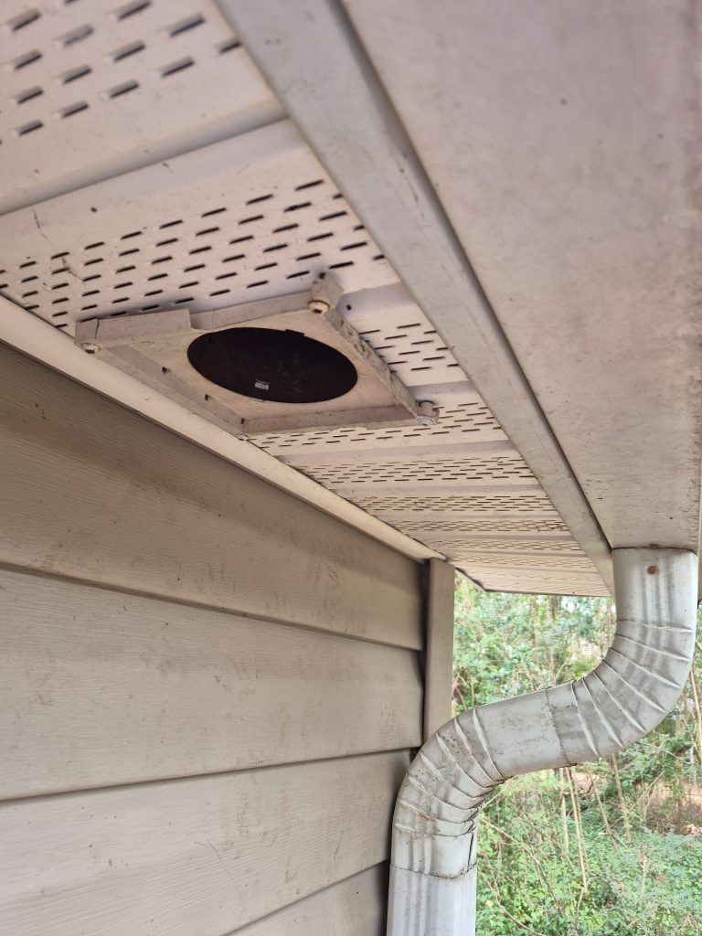 Wildlife Removal near me 11