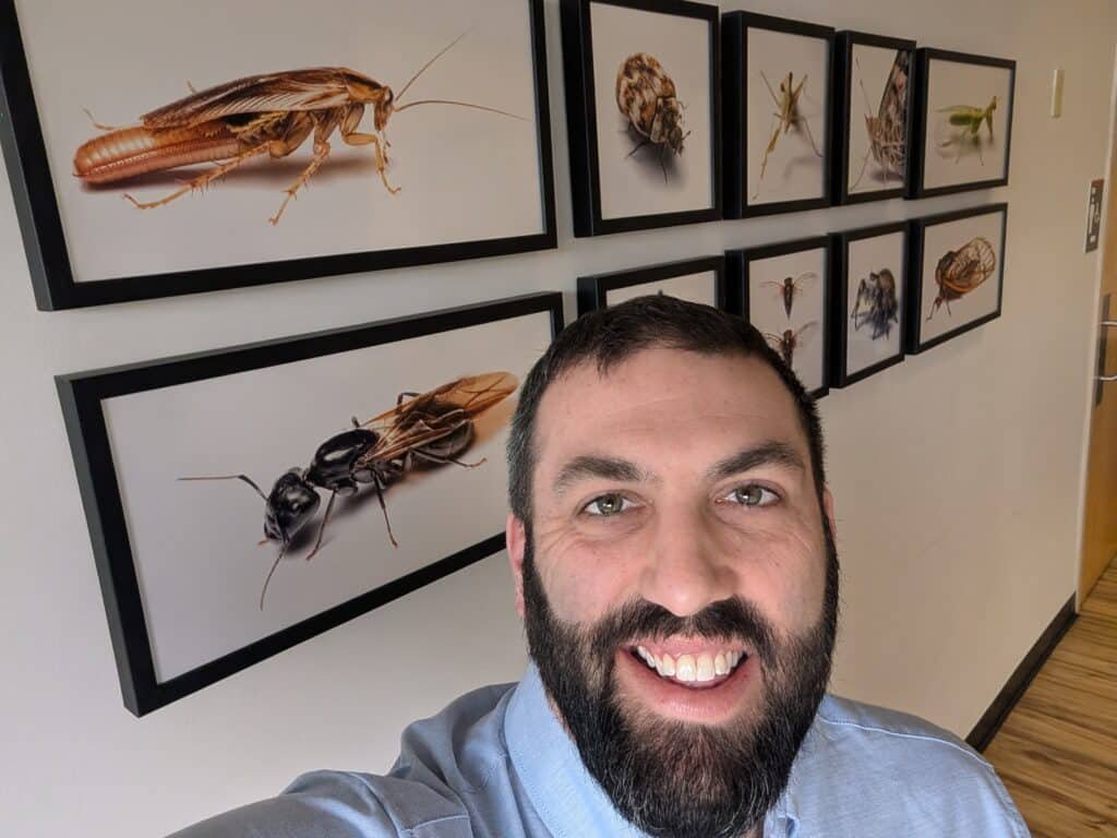 Ant control treatment by Invicta Pest Control technician