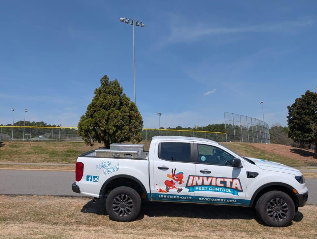 Ant control treatment by Invicta Pest Control technician