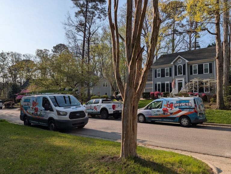 Ant control treatment by Invicta Pest Control technician